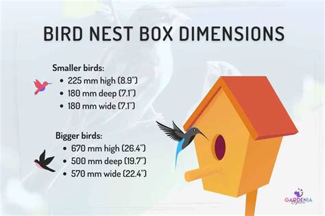 nest box size chart